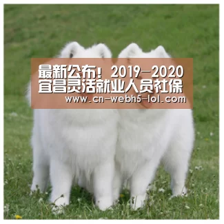 最新公布!2019-2020宜昌灵活就业人员社保缴费基数及标准-LoL投注网站 (图4) LoL投注网站