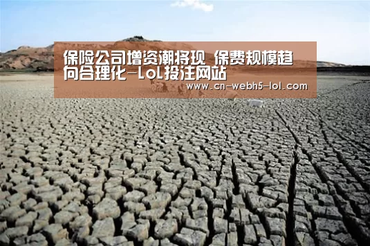 保险公司增资潮将现 保费规模趋向合理化-LoL投注网站 (图1) LoL投注网站