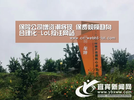 保险公司增资潮将现 保费规模趋向合理化-LoL投注网站 (图3) 2026年最佳英雄联盟投注网站